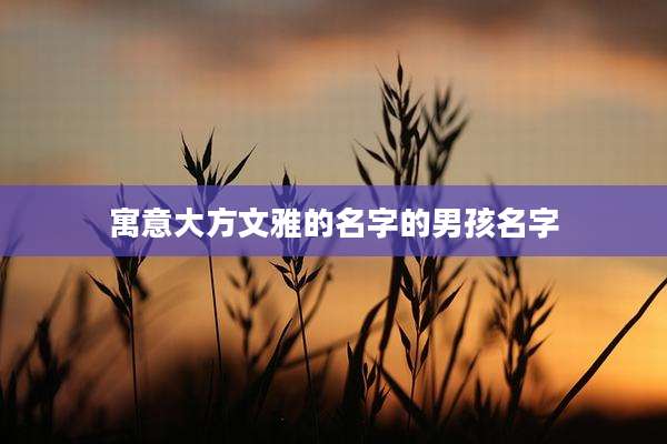 寓意大方文雅的名字的男孩名字