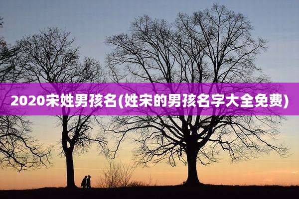 2020宋姓男孩名(姓宋的男孩名字大全免费)