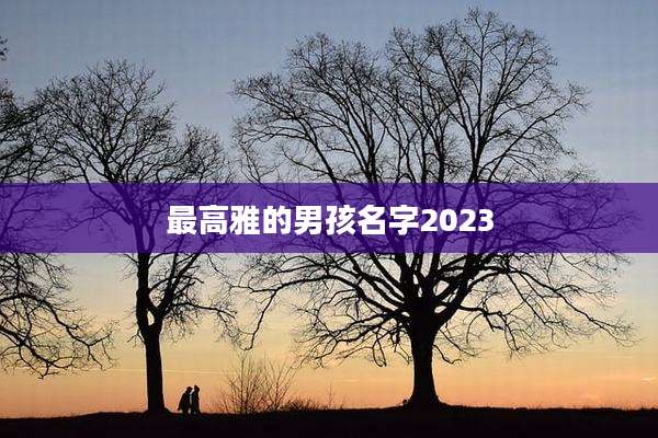 最高雅的男孩名字2023