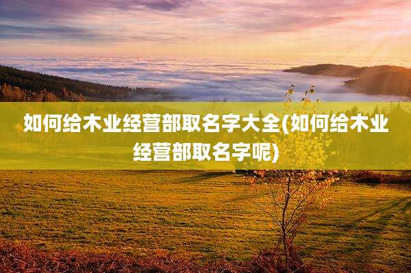 如何给木业经营部取名字大全(如何给木业经营部取名字呢)
