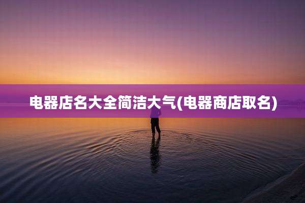 电器店名大全简洁大气(电器商店取名)
