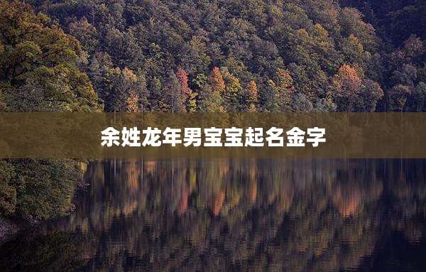 余姓龙年男宝宝起名金字