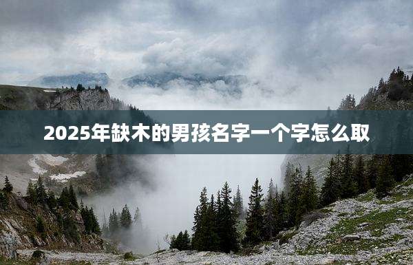 2025年缺木的男孩名字一个字怎么取