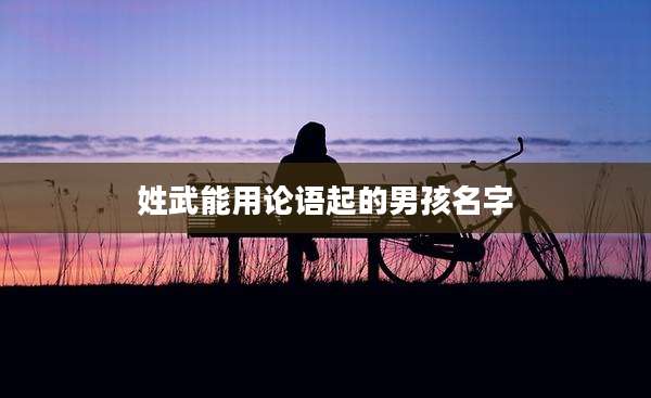 姓武能用论语起的男孩名字