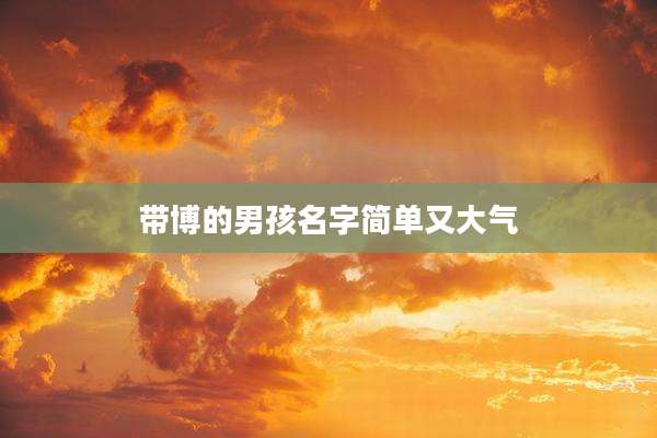 带博的男孩名字简单又大气