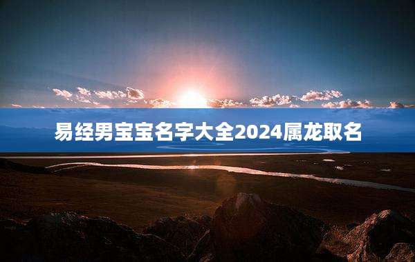 易经男宝宝名字大全2024属龙取名