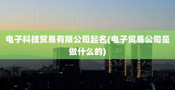 电子科技贸易有限公司起名(电子贸易公司是做什么的)
