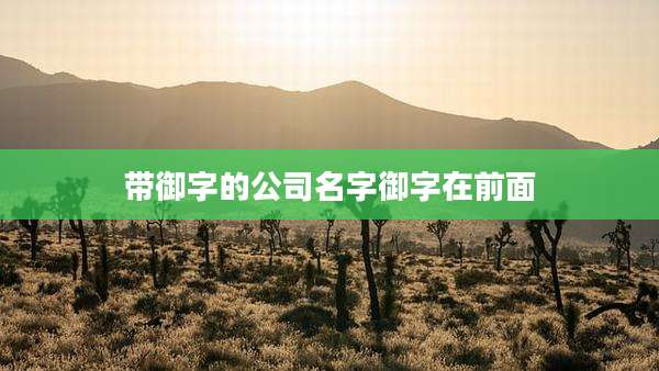带御字的公司名字御字在前面