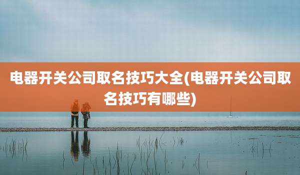 电器开关公司取名技巧大全(电器开关公司取名技巧有哪些)