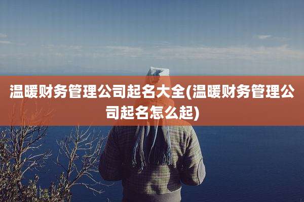 温暖财务管理公司起名大全(温暖财务管理公司起名怎么起)