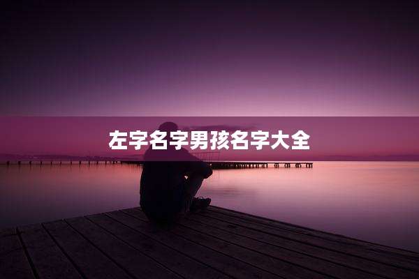 左字名字男孩名字大全