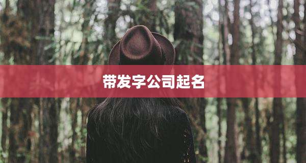 带发字公司起名