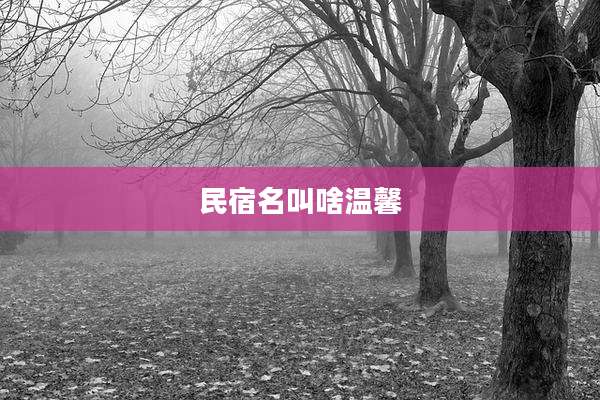 民宿名叫啥温馨