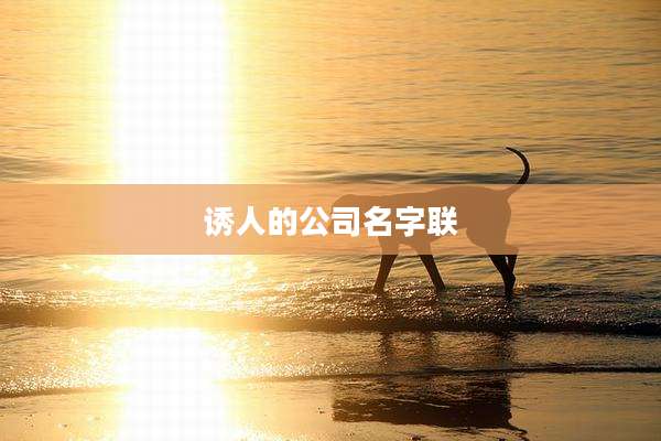 诱人的公司名字联