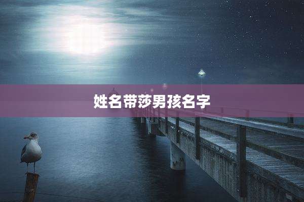 姓名带莎男孩名字