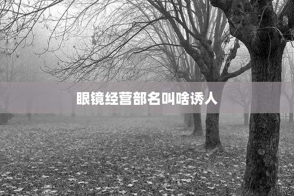 眼镜经营部名叫啥诱人