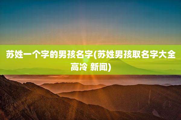苏姓一个字的男孩名字(苏姓男孩取名字大全高冷 新闻)