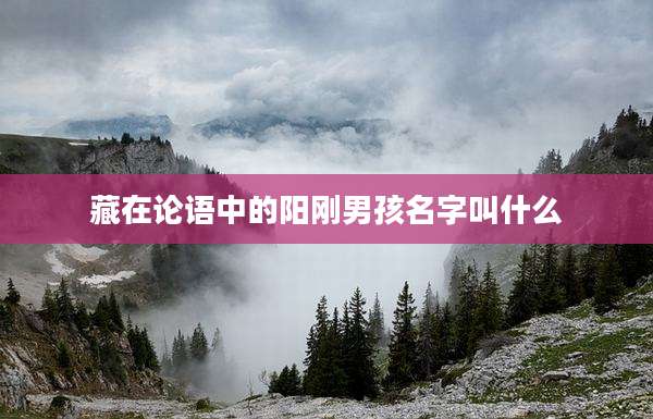藏在论语中的阳刚男孩名字叫什么