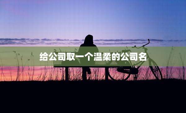 给公司取一个温柔的公司名