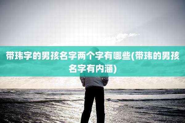 带玮字的男孩名字两个字有哪些(带玮的男孩名字有内涵)