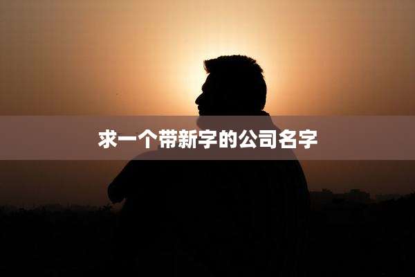 求一个带新字的公司名字