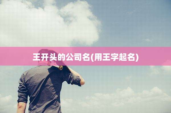 王开头的公司名(用王字起名)