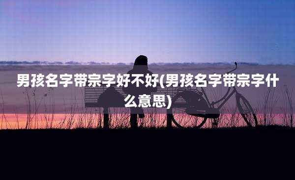 男孩名字带宗字好不好(男孩名字带宗字什么意思)