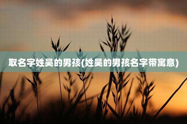 取名字姓吴的男孩(姓吴的男孩名字带寓意)