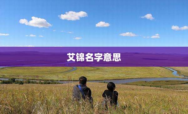 艾锦名字意思
