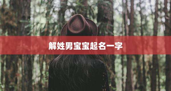解姓男宝宝起名一字