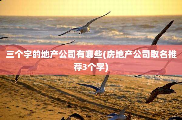 三个字的地产公司有哪些(房地产公司取名推荐3个字)