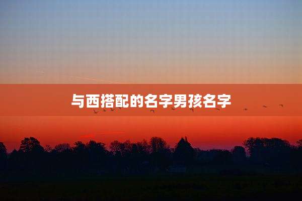 与西搭配的名字男孩名字