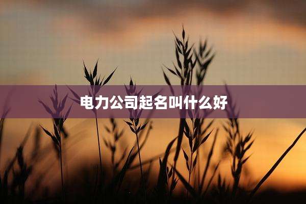 电力公司起名叫什么好