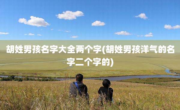 胡姓男孩名字大全两个字(胡姓男孩洋气的名字二个字的)
