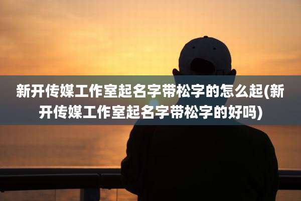 新开传媒工作室起名字带松字的怎么起(新开传媒工作室起名字带松字的好吗)