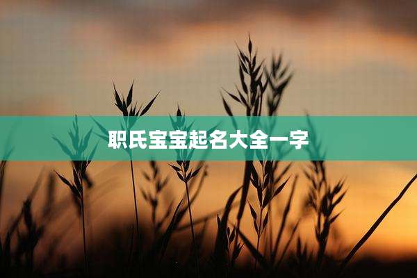 职氏宝宝起名大全一字