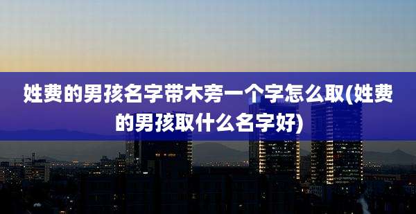 姓费的男孩名字带木旁一个字怎么取(姓费的男孩取什么名字好)