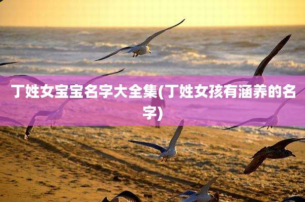 丁姓女宝宝名字大全集(丁姓女孩有涵养的名字)