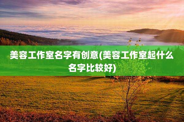 美容工作室名字有创意(美容工作室起什么名字比较好)