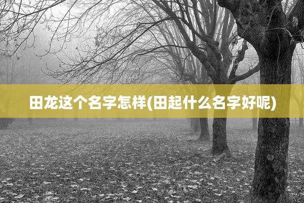 田龙这个名字怎样(田起什么名字好呢)