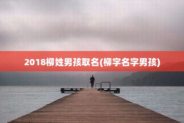 2018柳姓男孩取名(柳字名字男孩)