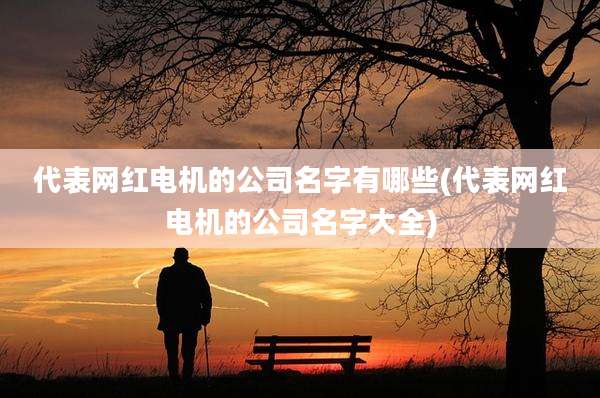 代表网红电机的公司名字有哪些(代表网红电机的公司名字大全)