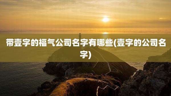 带壹字的福气公司名字有哪些(壹字的公司名字)