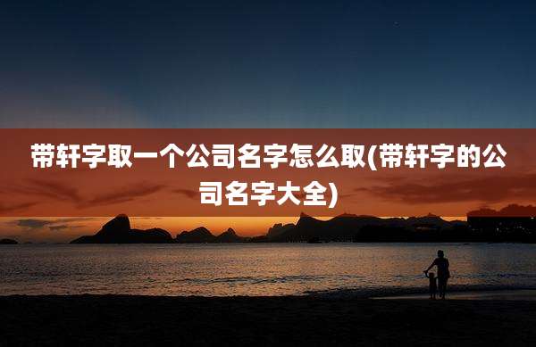 带轩字取一个公司名字怎么取(带轩字的公司名字大全)