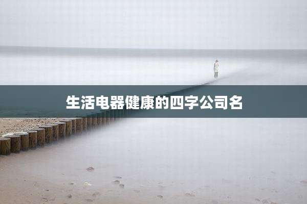 生活电器健康的四字公司名