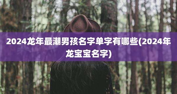 2024龙年最潮男孩名字单字有哪些(2024年龙宝宝名字)