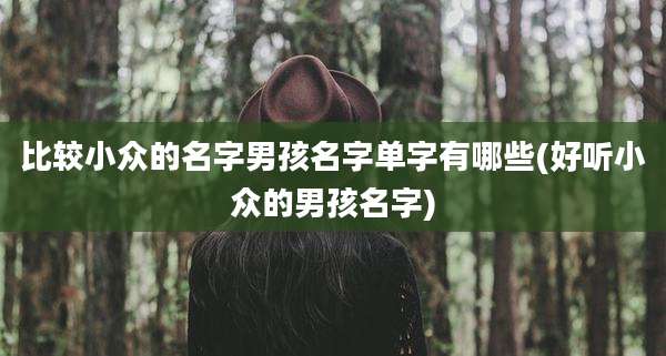 比较小众的名字男孩名字单字有哪些(好听小众的男孩名字)
