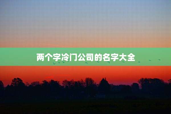 两个字冷门公司的名字大全