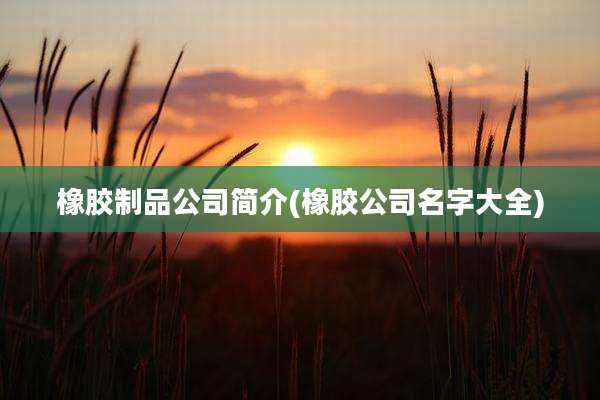 橡胶制品公司简介(橡胶公司名字大全)