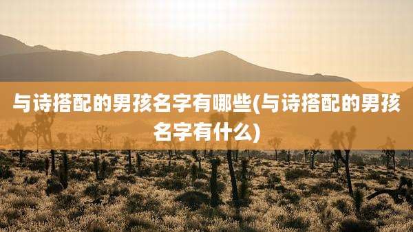 与诗搭配的男孩名字有哪些(与诗搭配的男孩名字有什么)